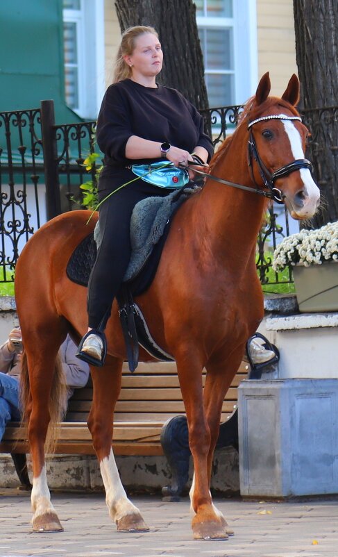 ... - Владимир иванов