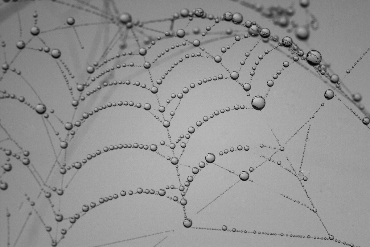 *** - Татьяна Титова