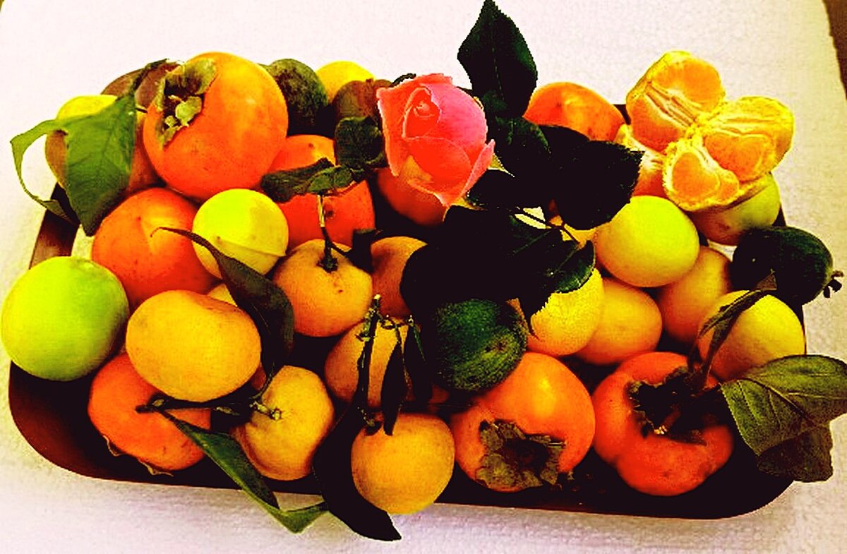 ИЗОБИЛИЕ ! - ivana 