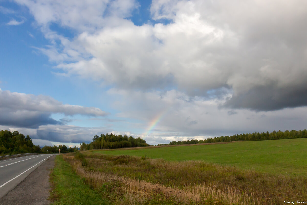 Дорожное - Евгений Тарасов 