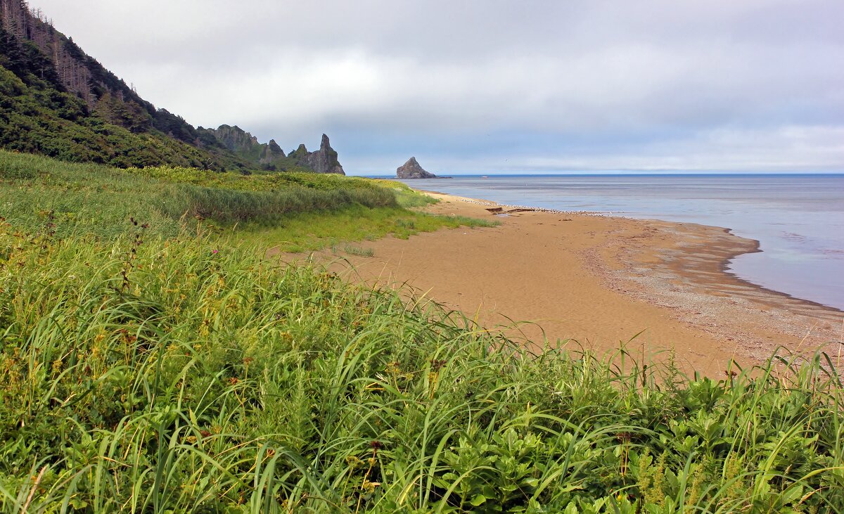 К берегу - Владимир Соколов (svladmir)