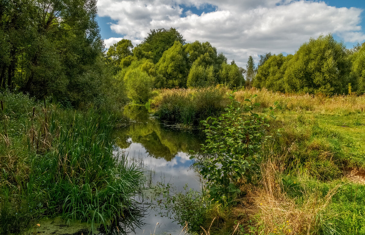 Осень она не спросит 8 - Андрей Дворников