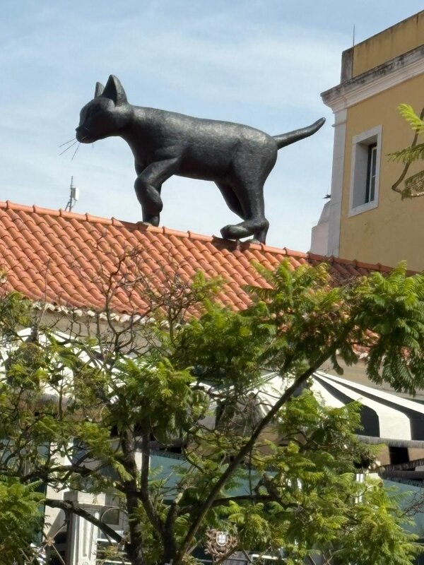 Кошара - На-та-ша 