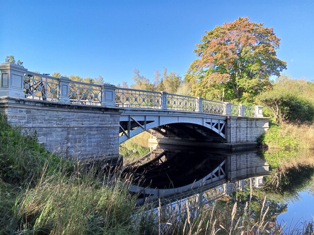 Осень - Сапсан 