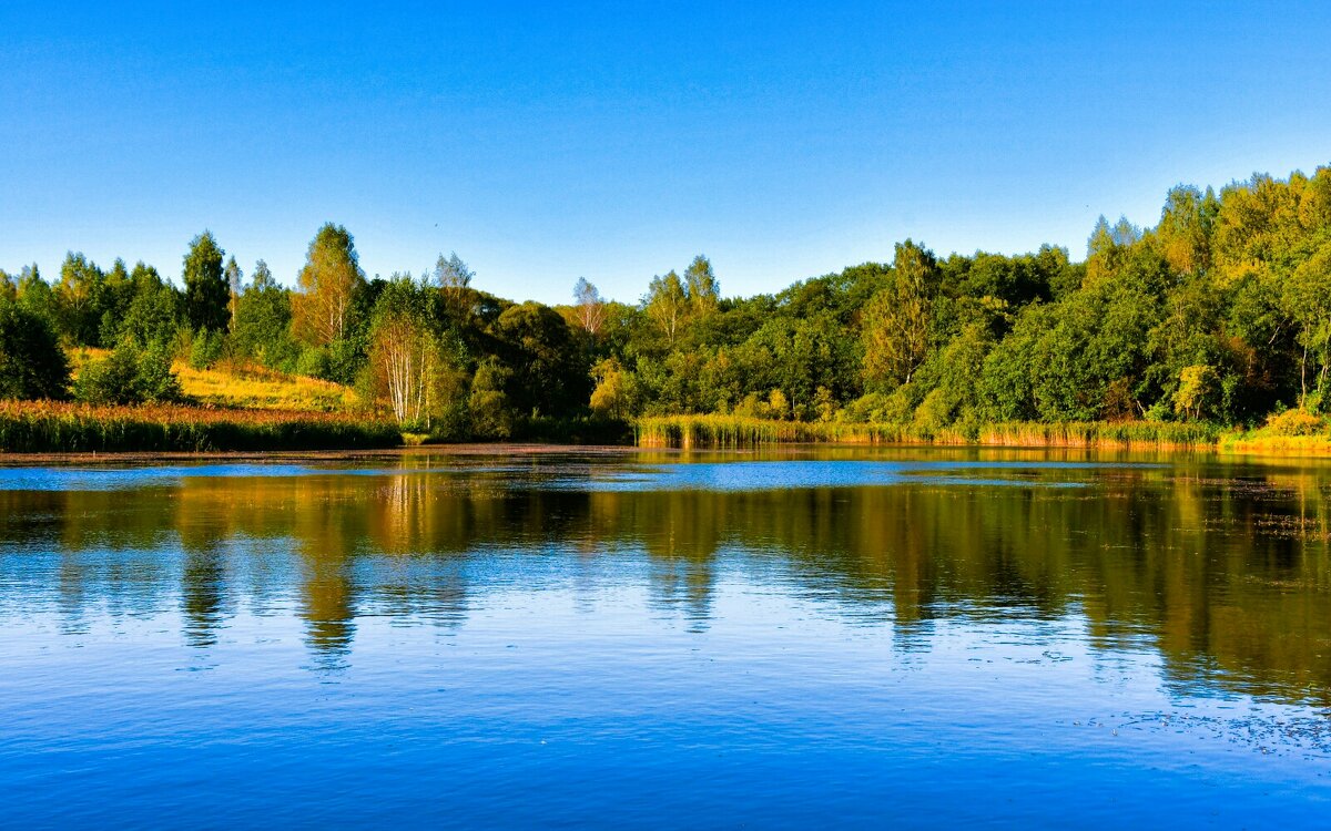 Смоленская осень. - Милешкин Владимир Алексеевич 