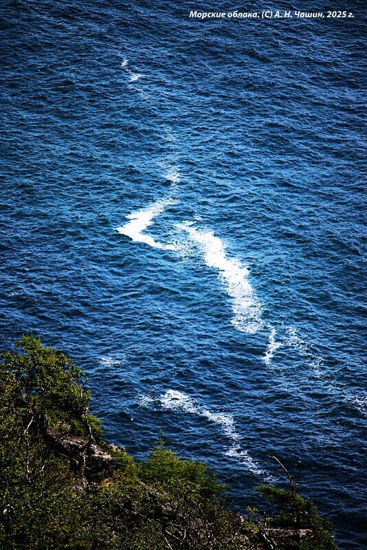 Морские облака - Александр Чашин