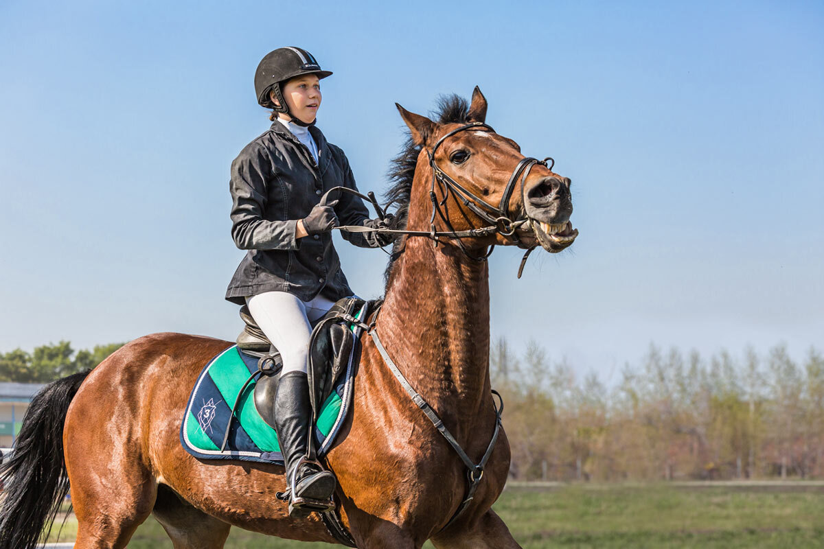 Конкур - SanSan 