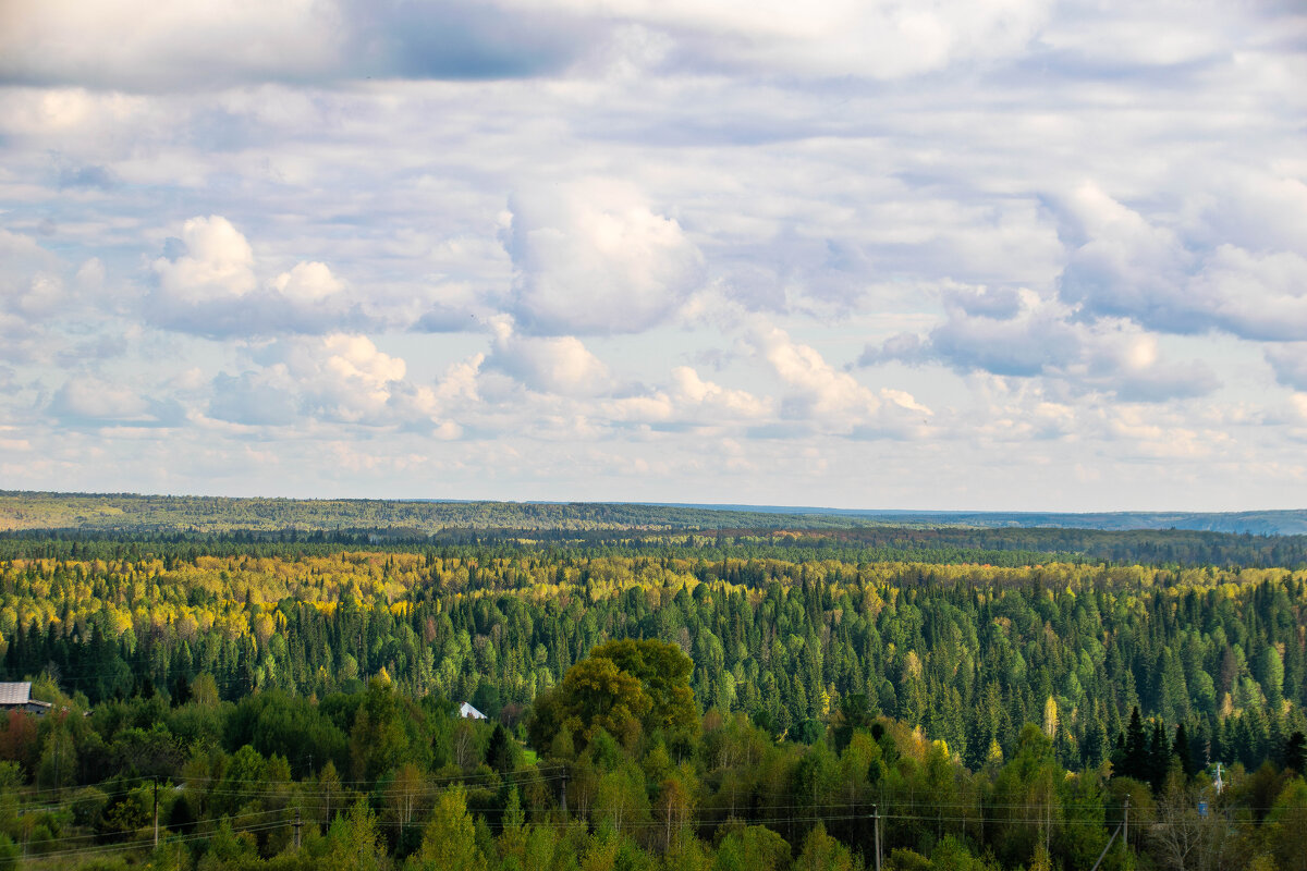 - - Владимир Мигонькин