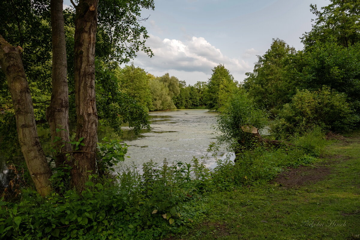 На зелёном пруду... - Николай Гирш На зелёном пруду... - Николай Гирш