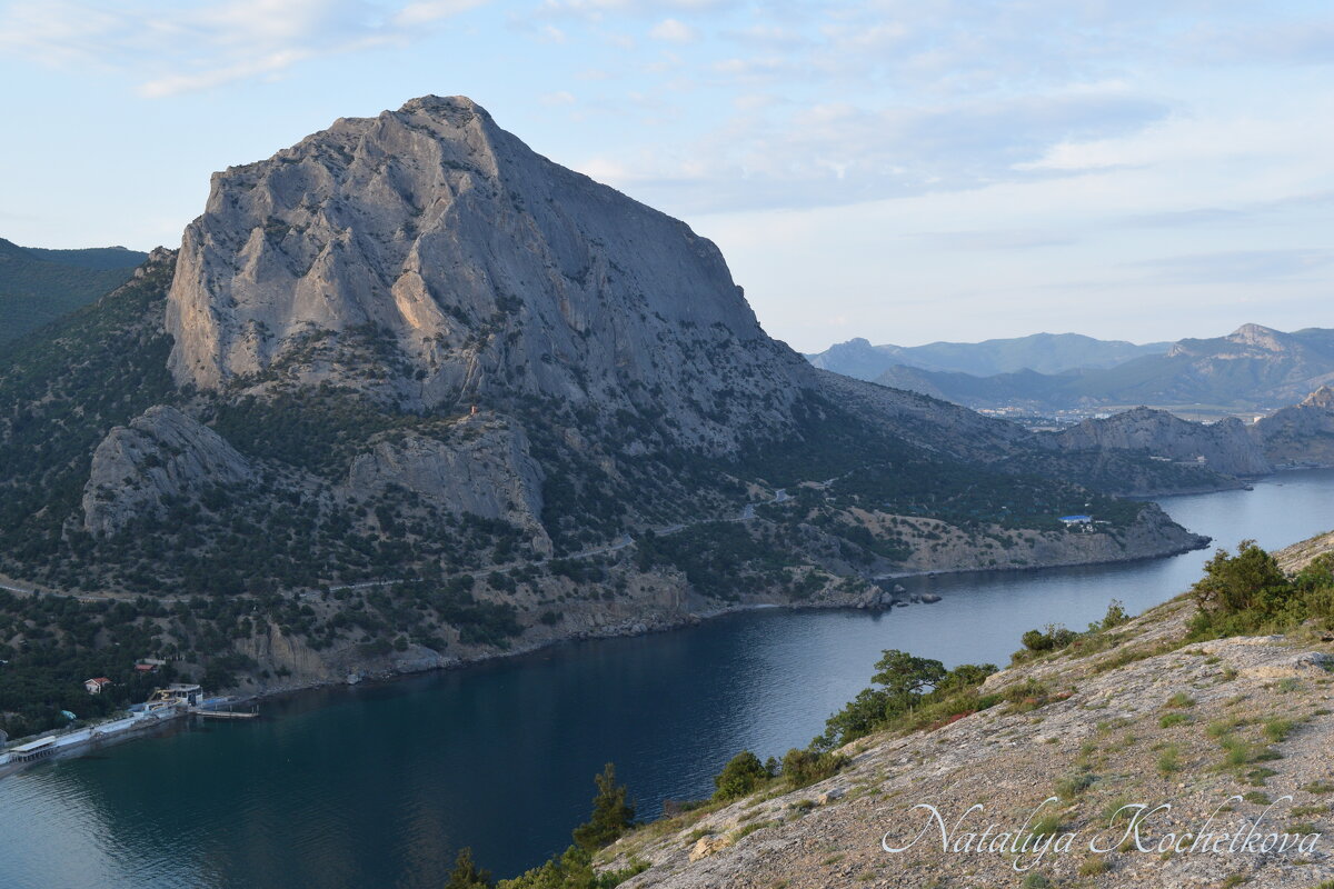 Природа Крыма - Amazing Cosmea