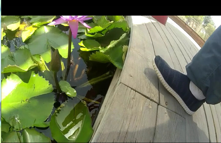 113 (92) - CLOSE WAYS ALL