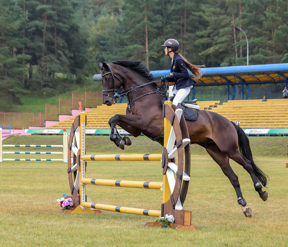 Конкур - Анатолий Шумилин