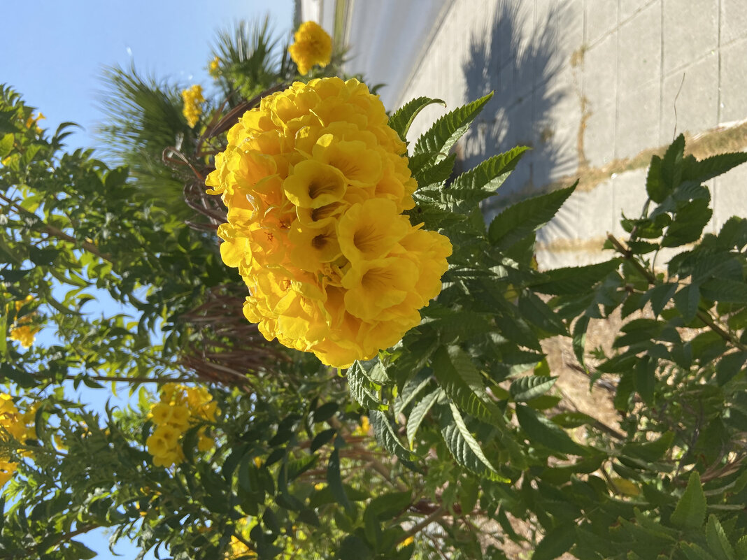 Кипр. Ларнака - Андрей 