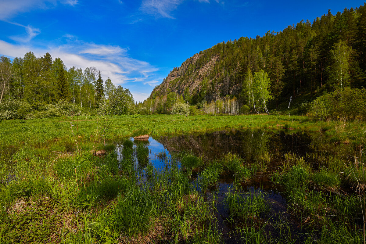 Была весна. - Юрий кот