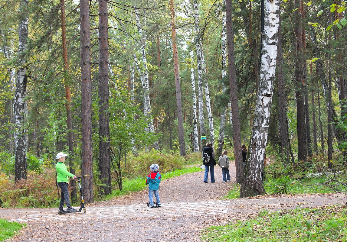 На лесном перепутье.. - Василий 