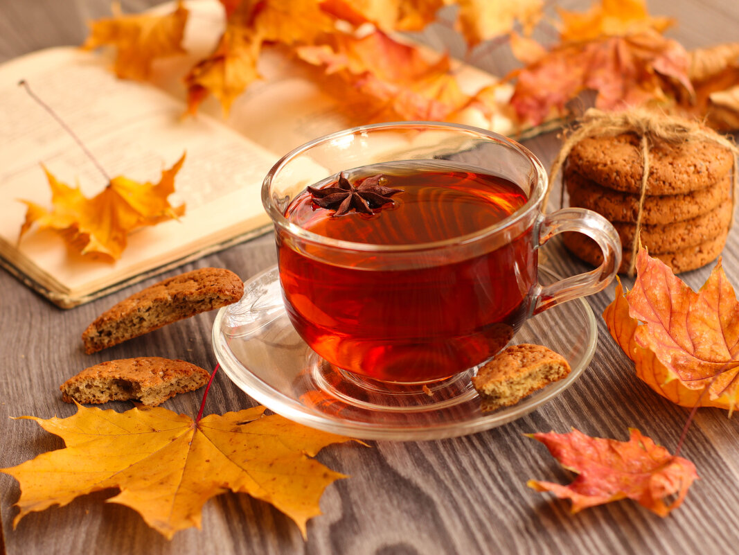 Осенний чай - Irene Irene