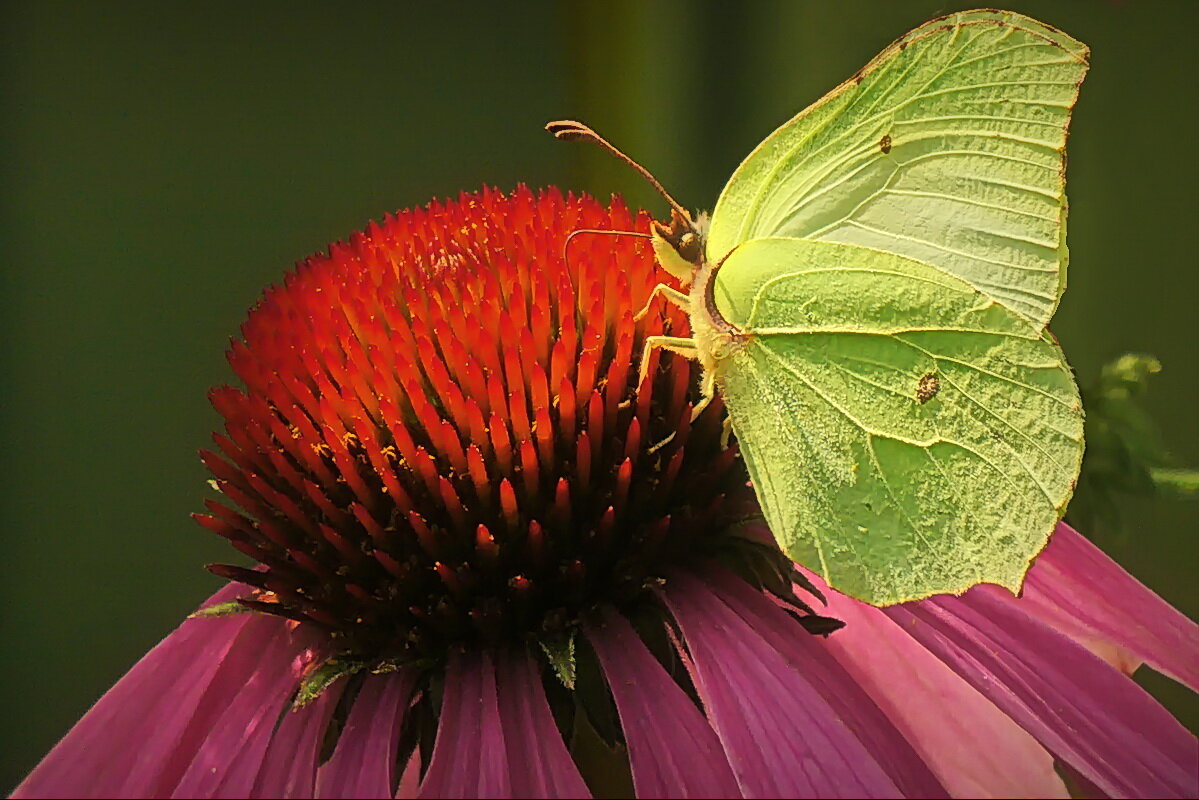 Наслаждение... - Владимир Шошин