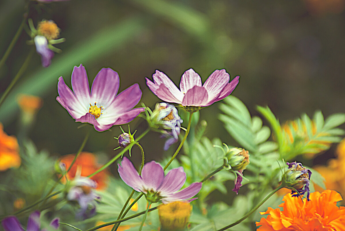 Уличная зарисовка - Владимир Кроливец