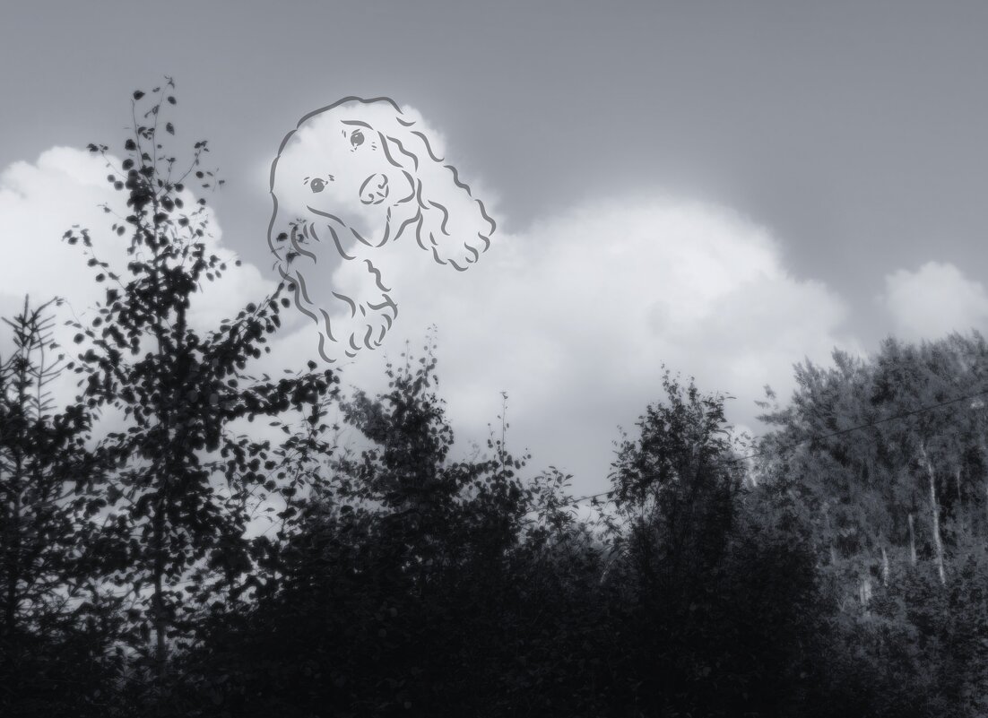 Облака проплывают мимо... - liudmila drake