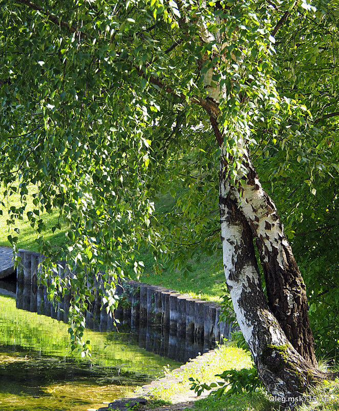 переплелись их судьбы - Олег Лукьянов переплелись их судьбы - Олег Лукьянов