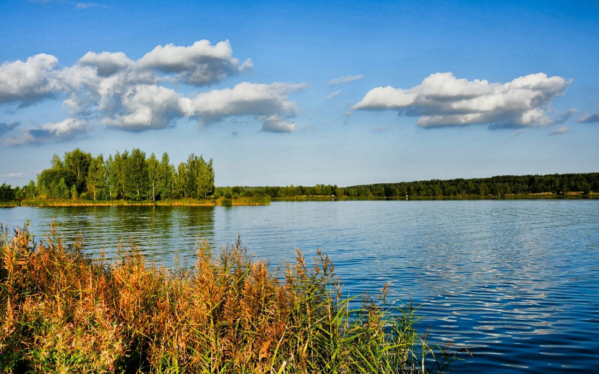 Осенний пейзаж. - Милешкин Владимир Алексеевич 