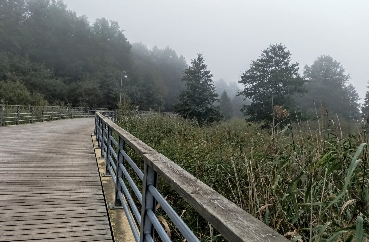 Осенний туман - Veera V