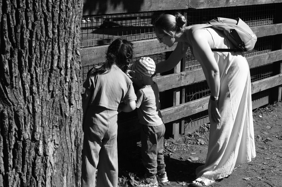 .... - Юрий Самсонов