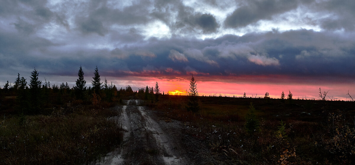 Закат в тундре - Игорь Шабалин