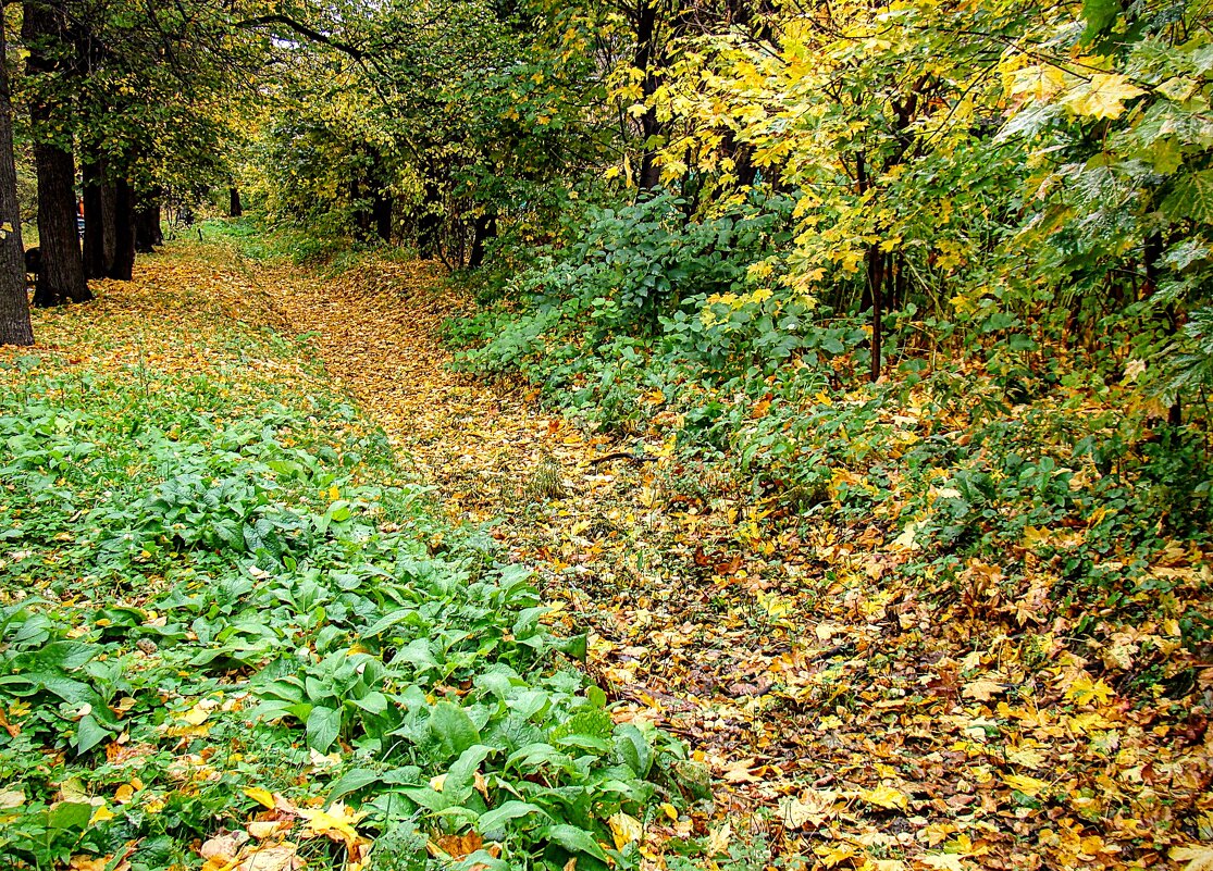 Осенняя тропа,,,, - Анатолий Колосов