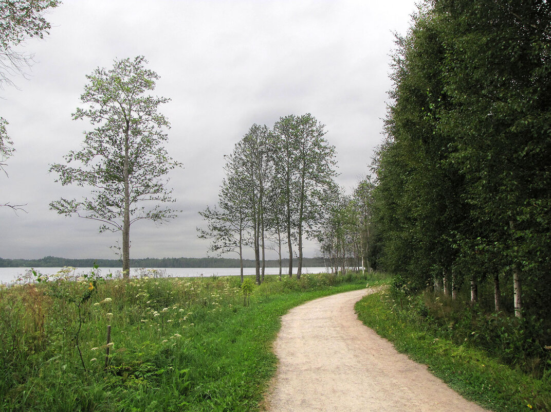 Дорога к Часовне Преподобного Антония Дымского - Александр Ильчевский 