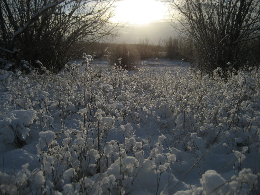 Морозное утро - Anna Ivanova