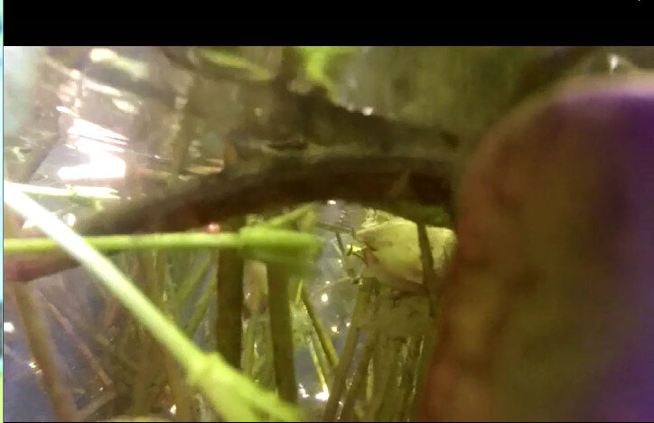 113 (96) - CLOSE WAYS ALL