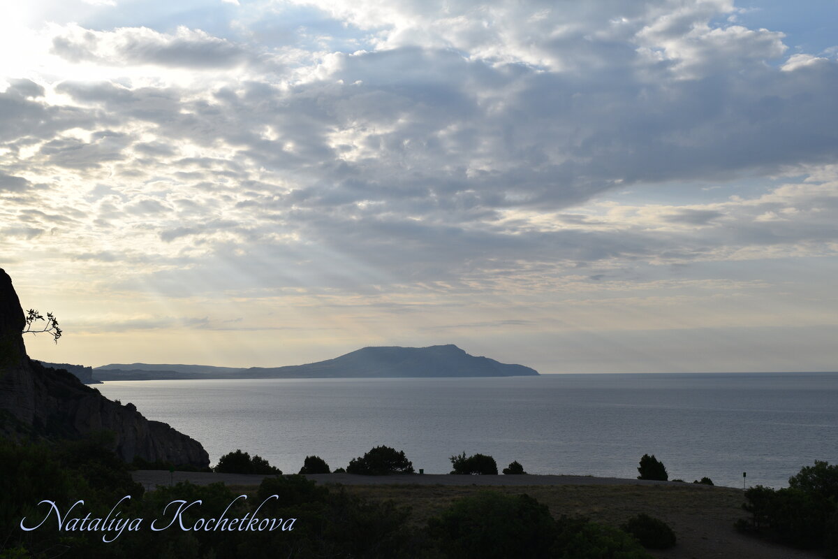 Природа Крыма - Amazing Cosmea