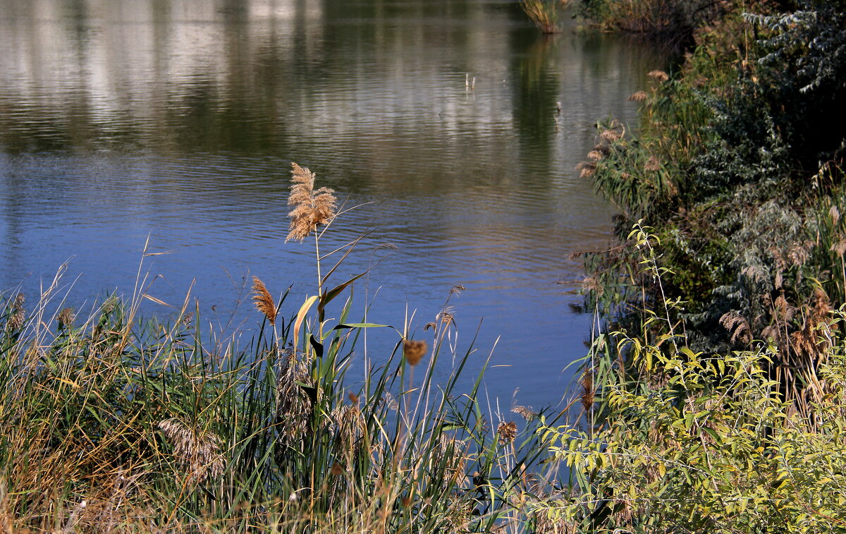 ** - Vlad Сергиевич