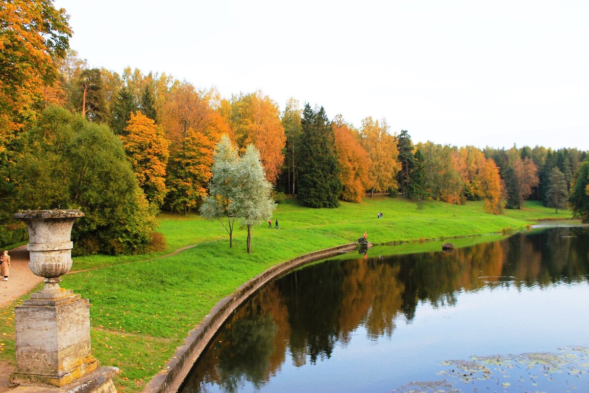 Осень в Павловском парке - Хватова Марина 