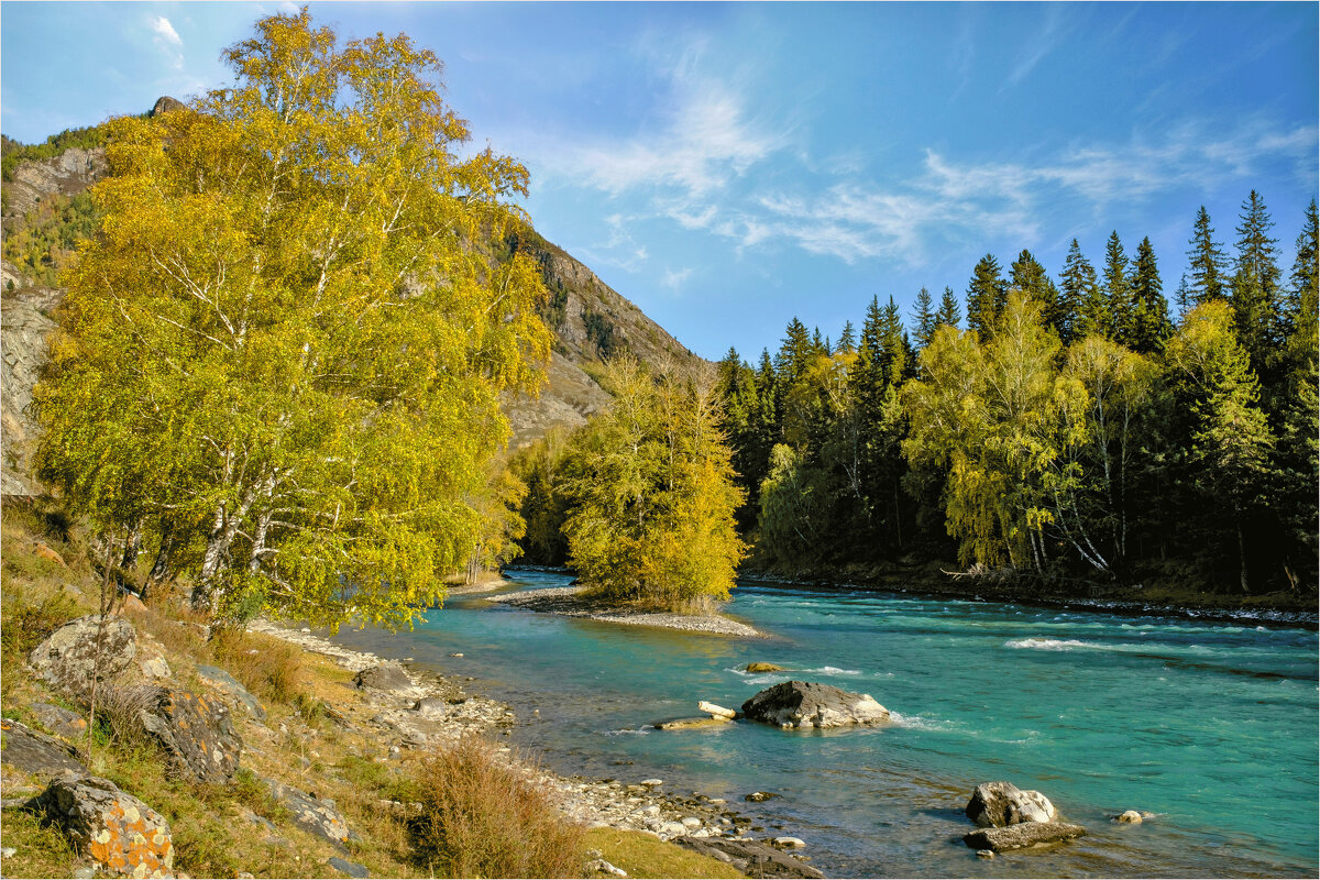 *** - Алексей Мезенцев