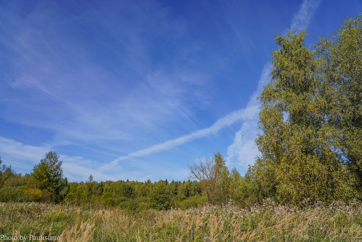 В поле... - Владимир Жданов