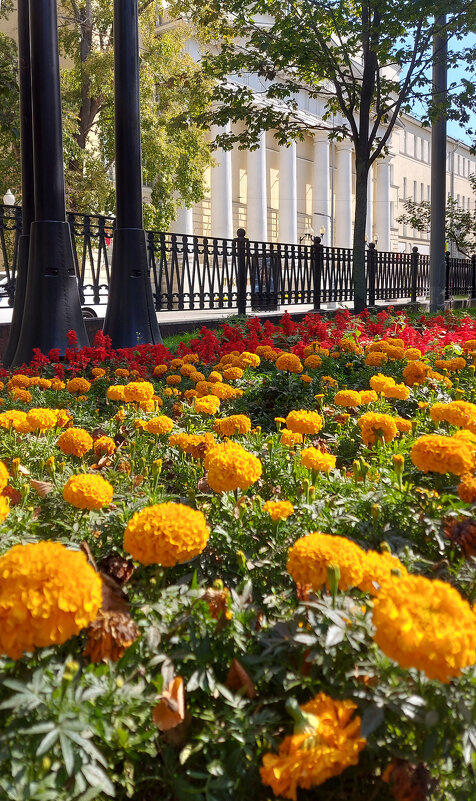 Лето в Москве. - Владимир Безбородов