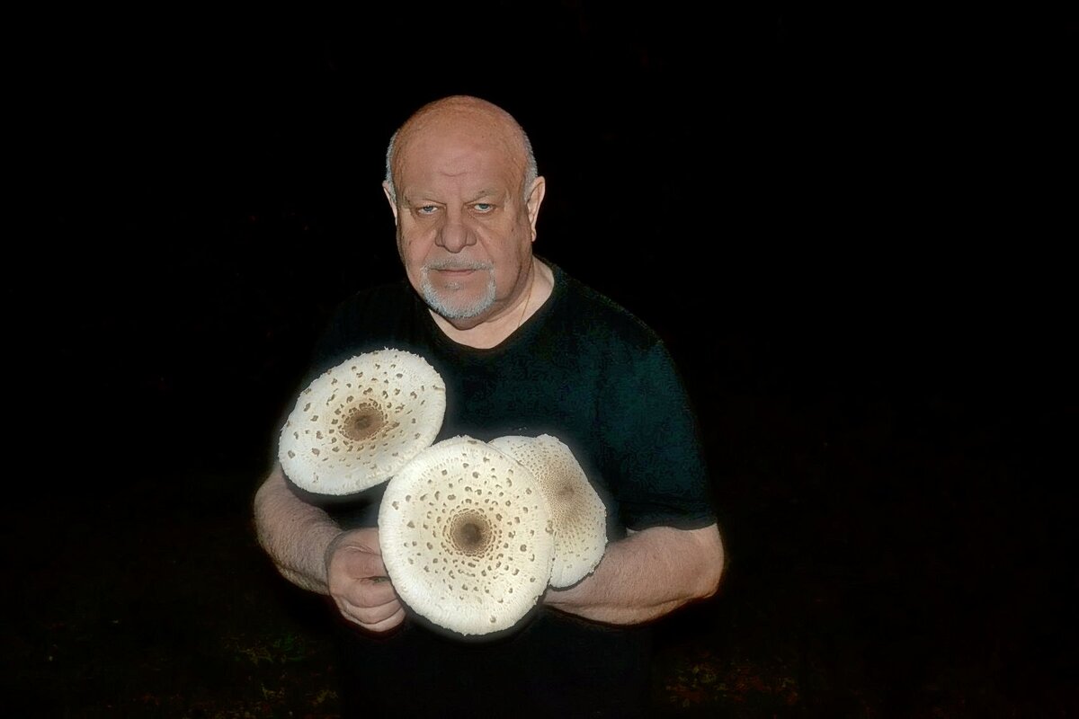 С грибами. - Михаил Столяров