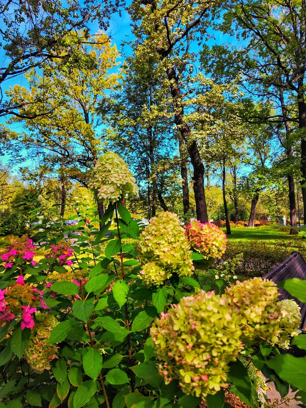 **** - Алексей Архипов
