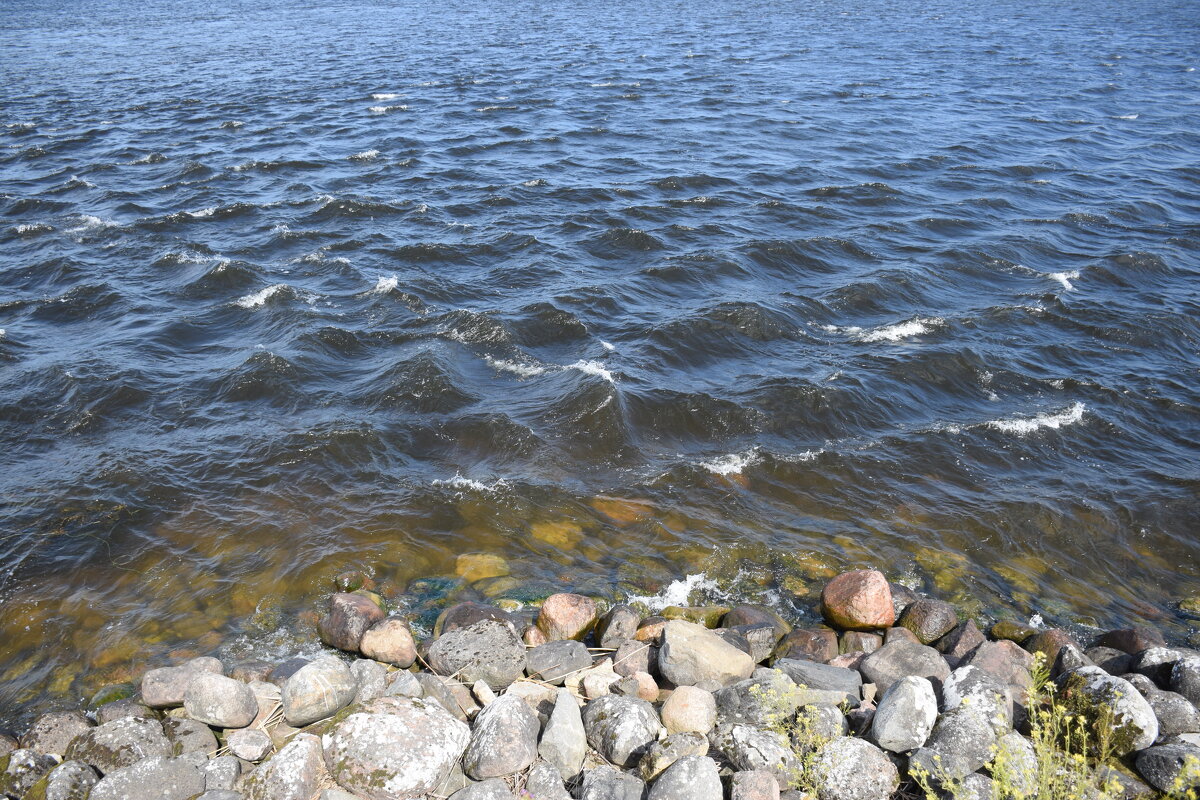 Ладожское озеро - Валюша Черкасова
