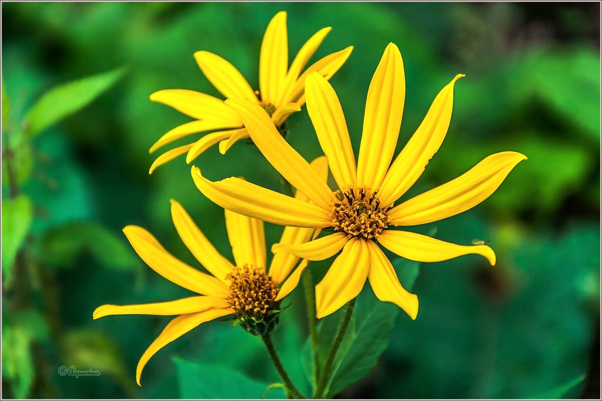 Про август - Aquarius - Сергей Про август - Aquarius - Сергей