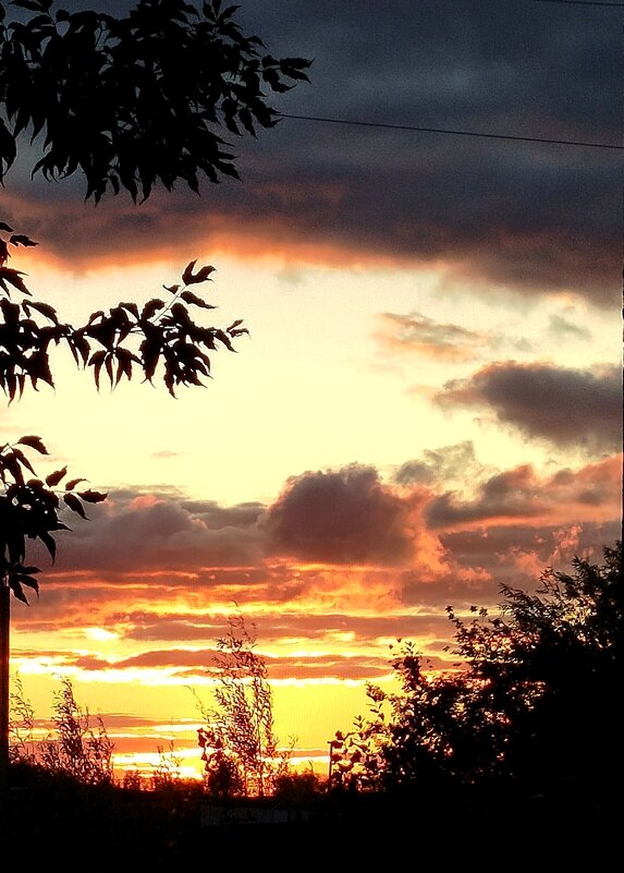 закат - светлана льдокова