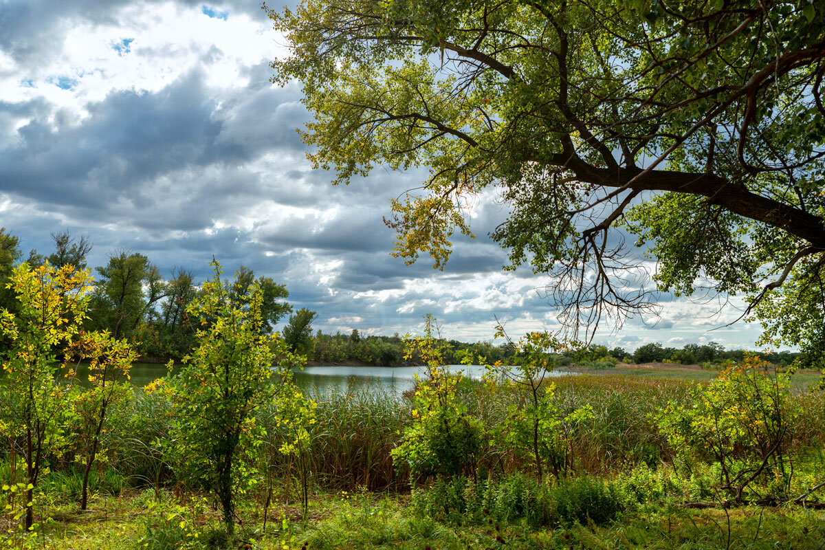 Природный парк Волго-Ахтубинская пойма. - Дина Евсеева