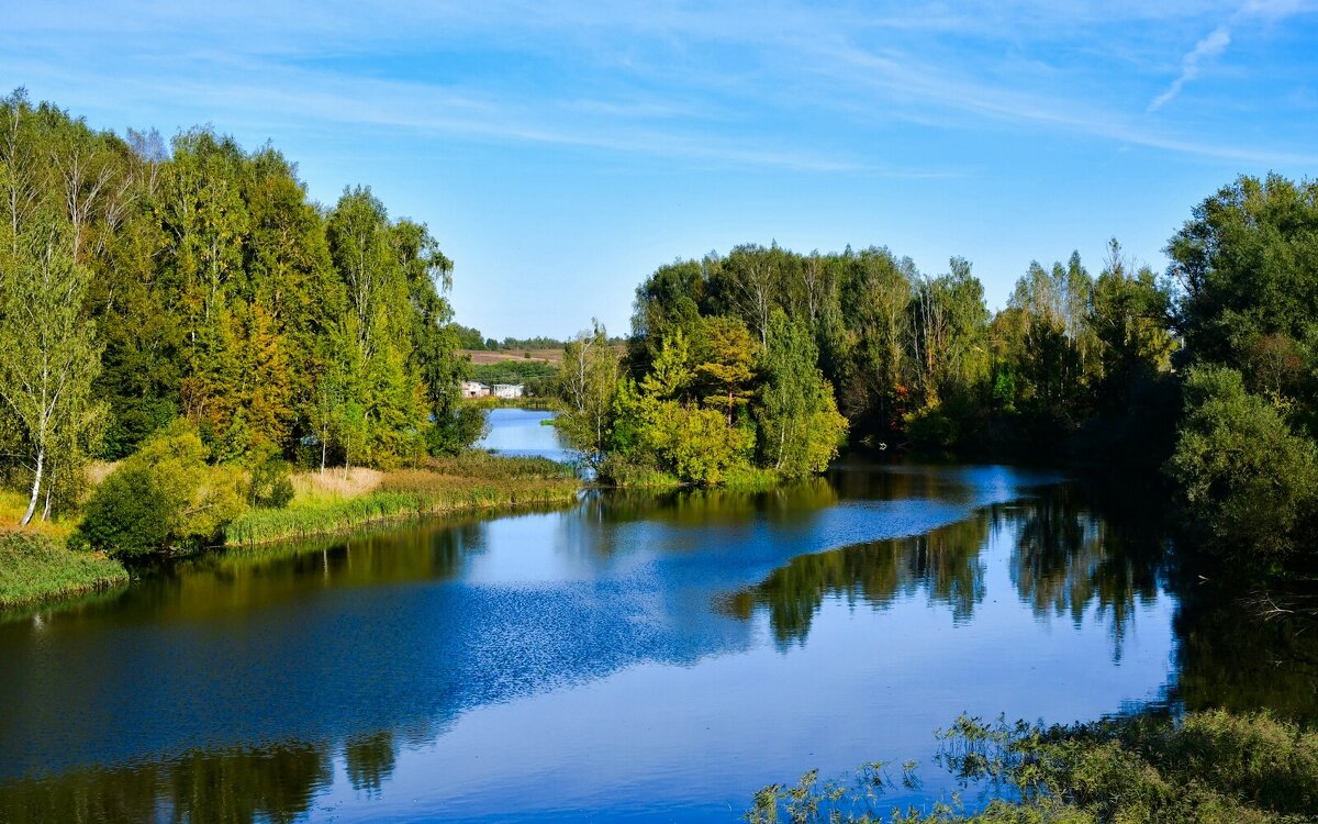 Осенний пейзаж. - Милешкин Владимир Алексеевич Осенний пейзаж. - Милешкин Владимир Алексеевич