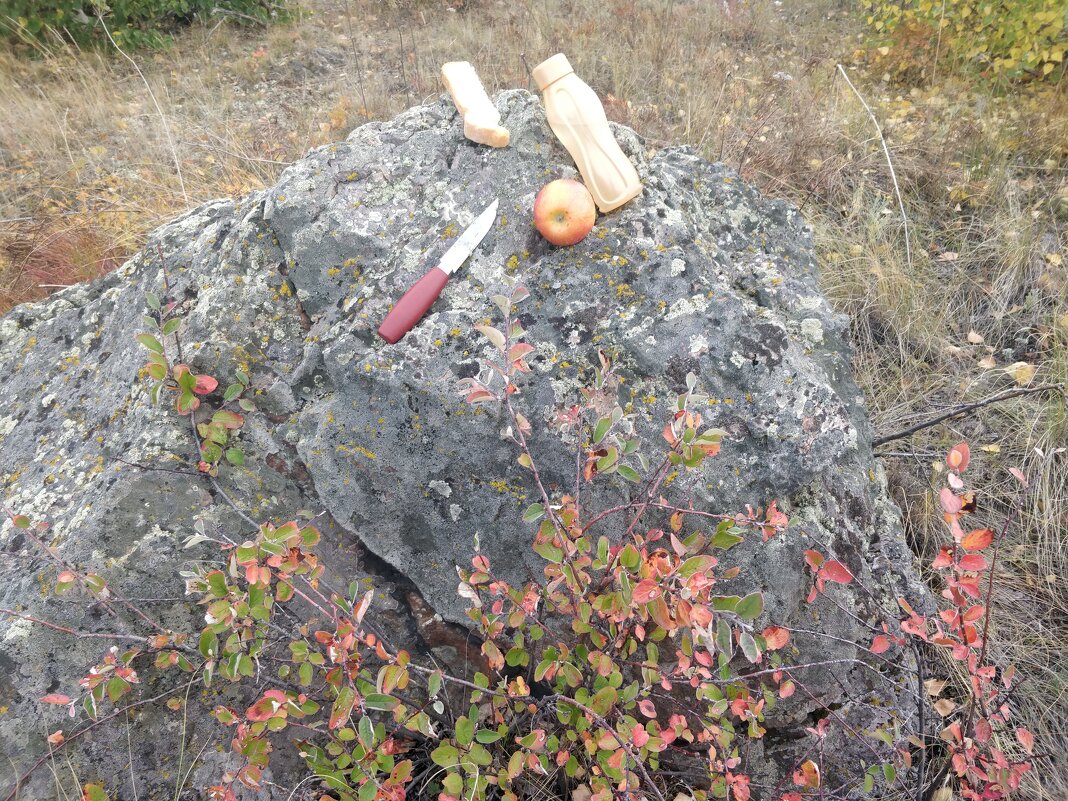 Ужин туриста - Андрей Хлопонин Ужин туриста - Андрей Хлопонин