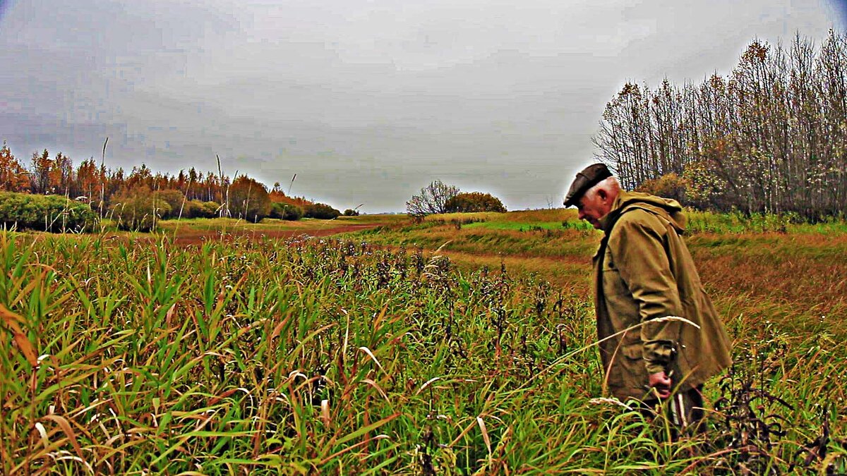 Нет ли тут ...трясины? - Владимир 