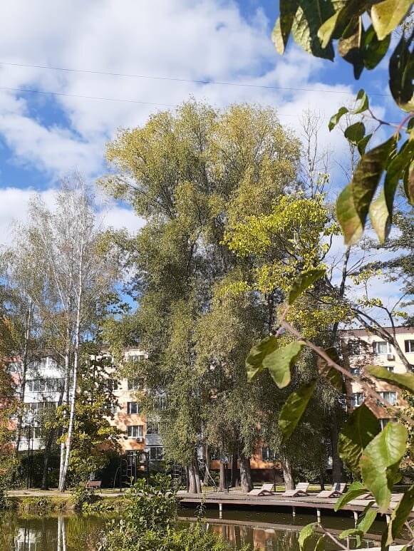 Сентябрь - Елена Семигина