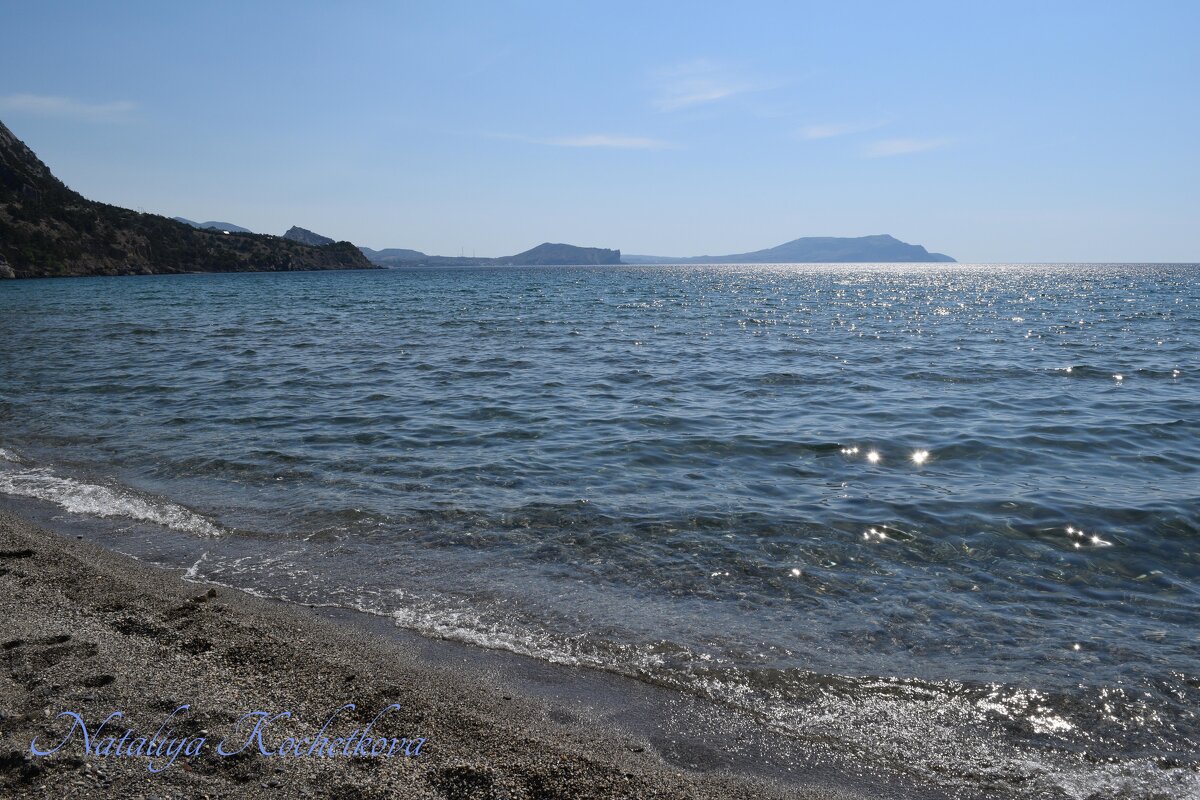 Природа Крыма - Amazing Cosmea