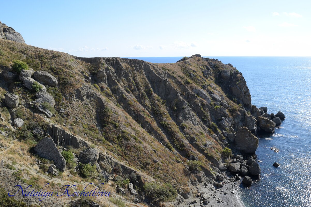 Природа Крыма - Amazing Cosmea